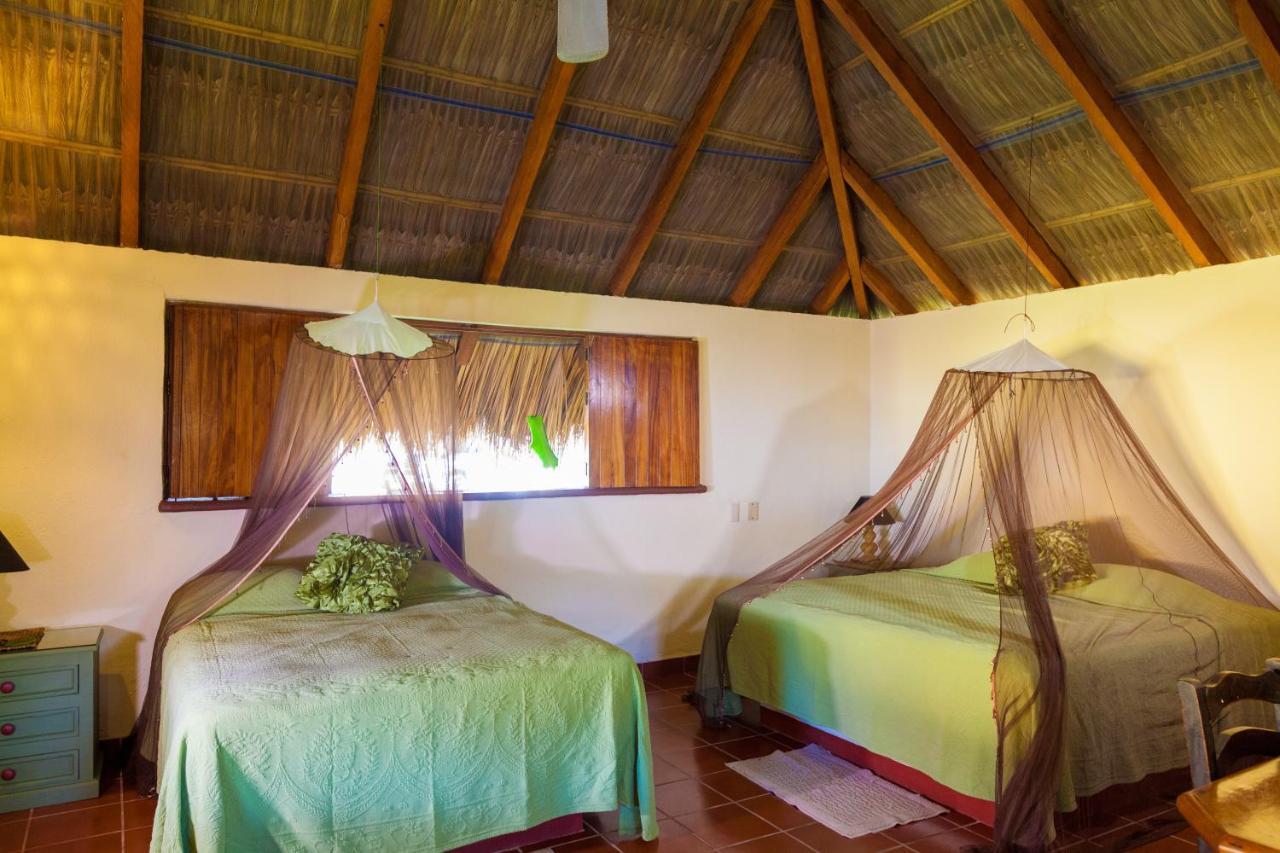 The Resort At Majahua Palms Troncones Kültér fotó